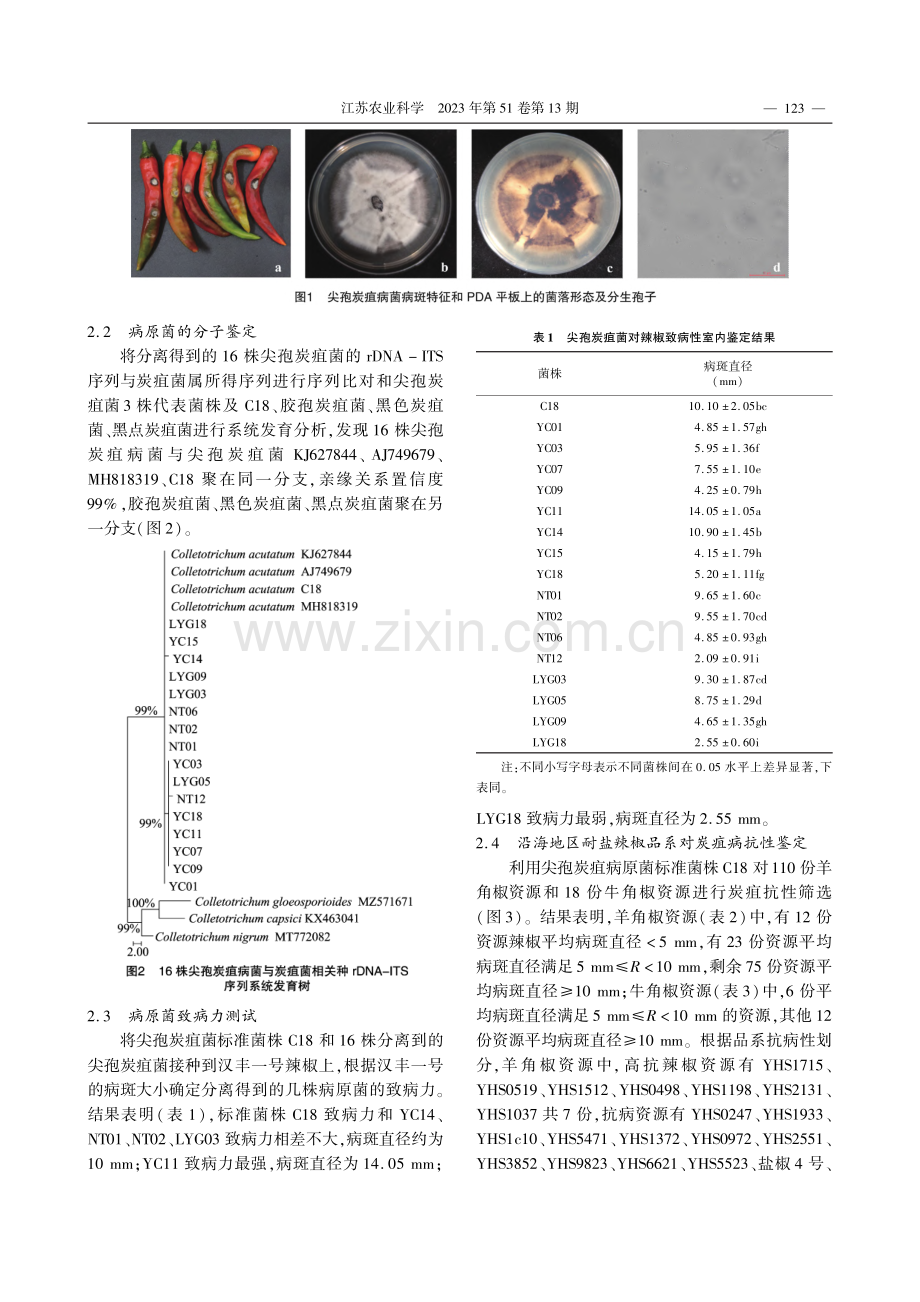 苏北沿海保护地耐盐碱辣椒品.种）对炭疽病的果期抗性评价_张丽娜.pdf_第3页