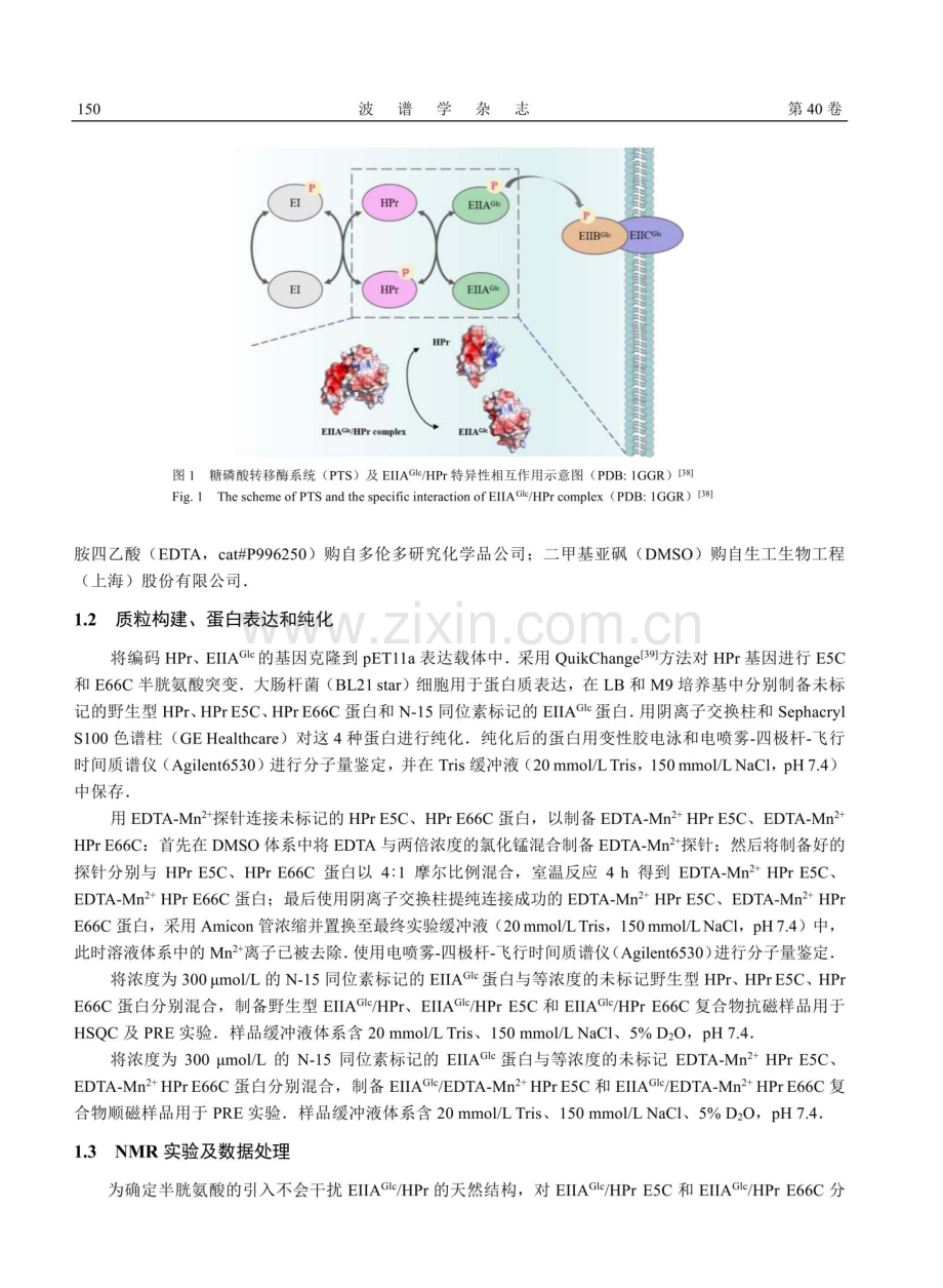 顺磁核磁共振技术研究蛋白质遭遇复合物的动态结构.pdf_第3页