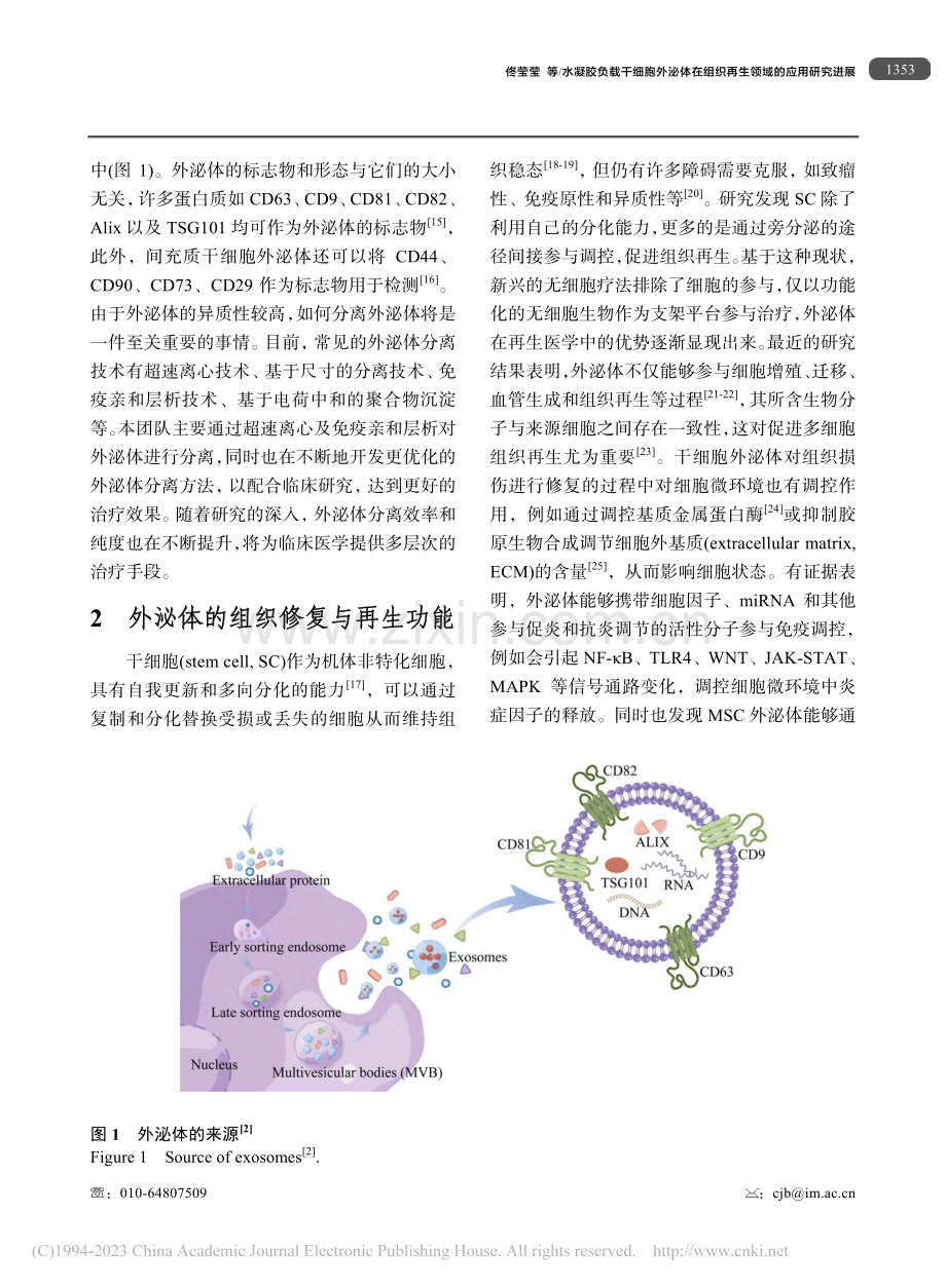 水凝胶负载干细胞外泌体在组织再生领域的应用研究进展_佟莹莹.pdf_第3页