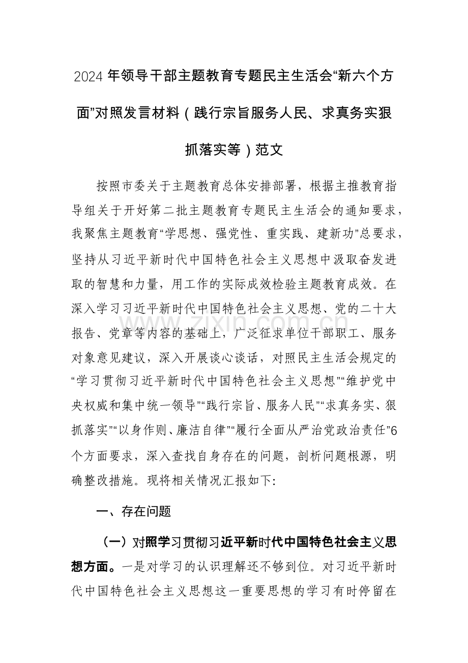 2024年领导干部主题教育专题“新六个方面”对照发言材料（践行宗旨服务人民、求真务实狠抓落实等）范文.docx_第1页