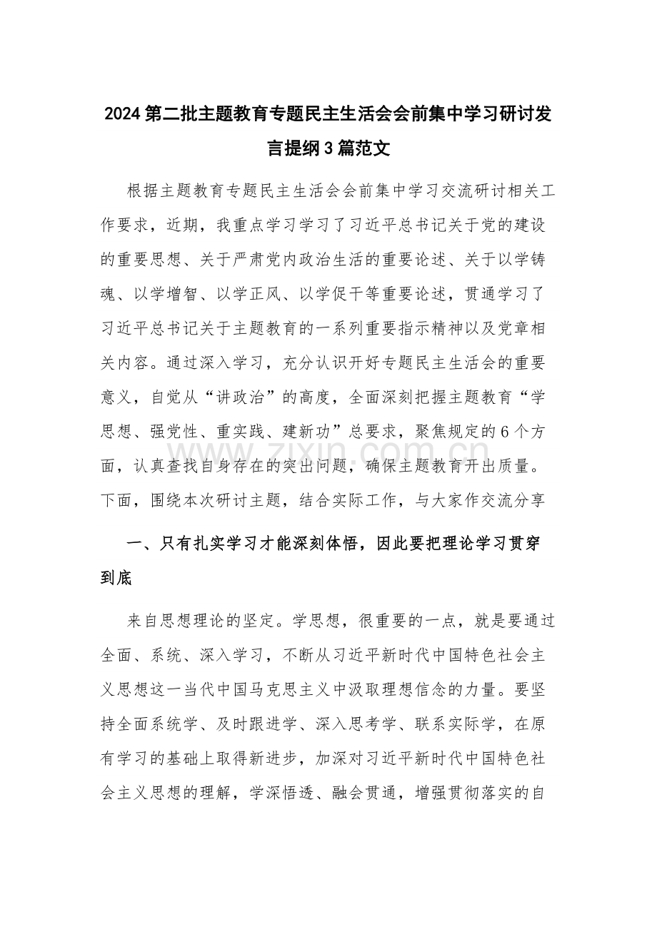 2024第二批主题教育专题会前集中学习研讨发言提纲3篇范文.docx_第1页