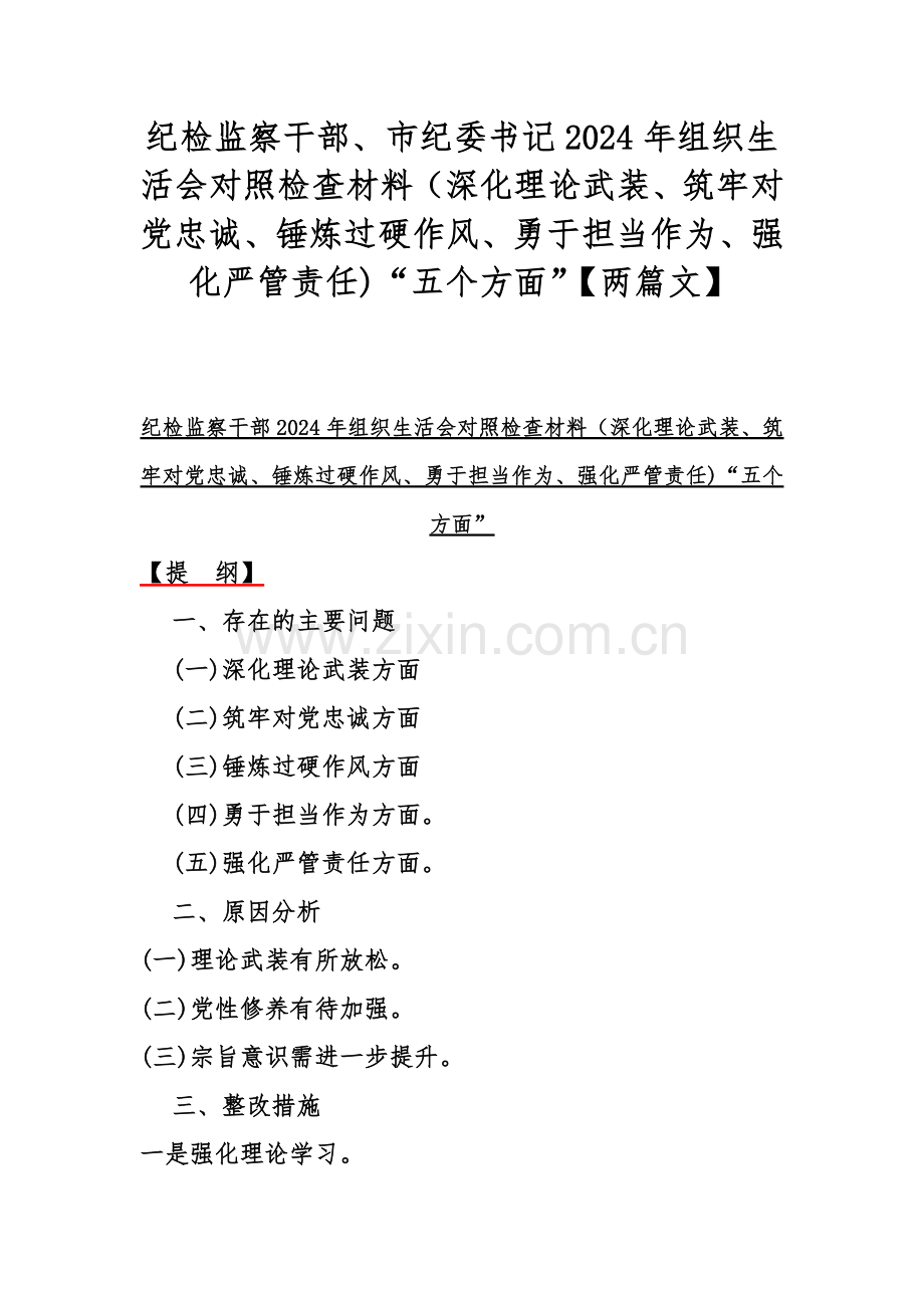 纪检监察干部、市纪委书记2024年组织生活会对照检查材料（深化理论武装、筑牢对党忠诚、锤炼过硬作风、勇于担当作为、强化严管责任)“五个方面”【两篇文】.docx_第1页