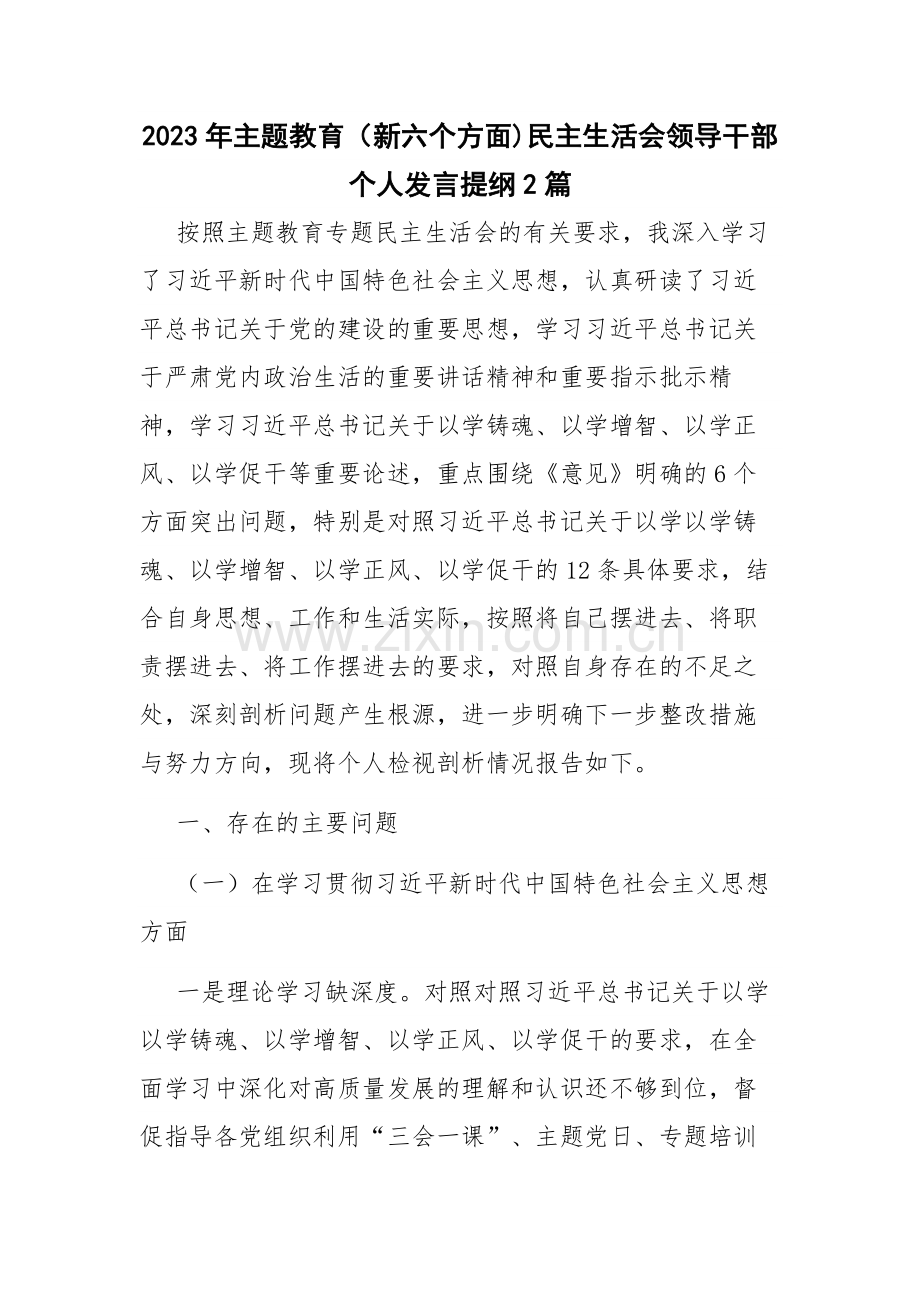 2023年主题教育（新六个方面)领导干部个人发言提纲2篇.docx_第1页