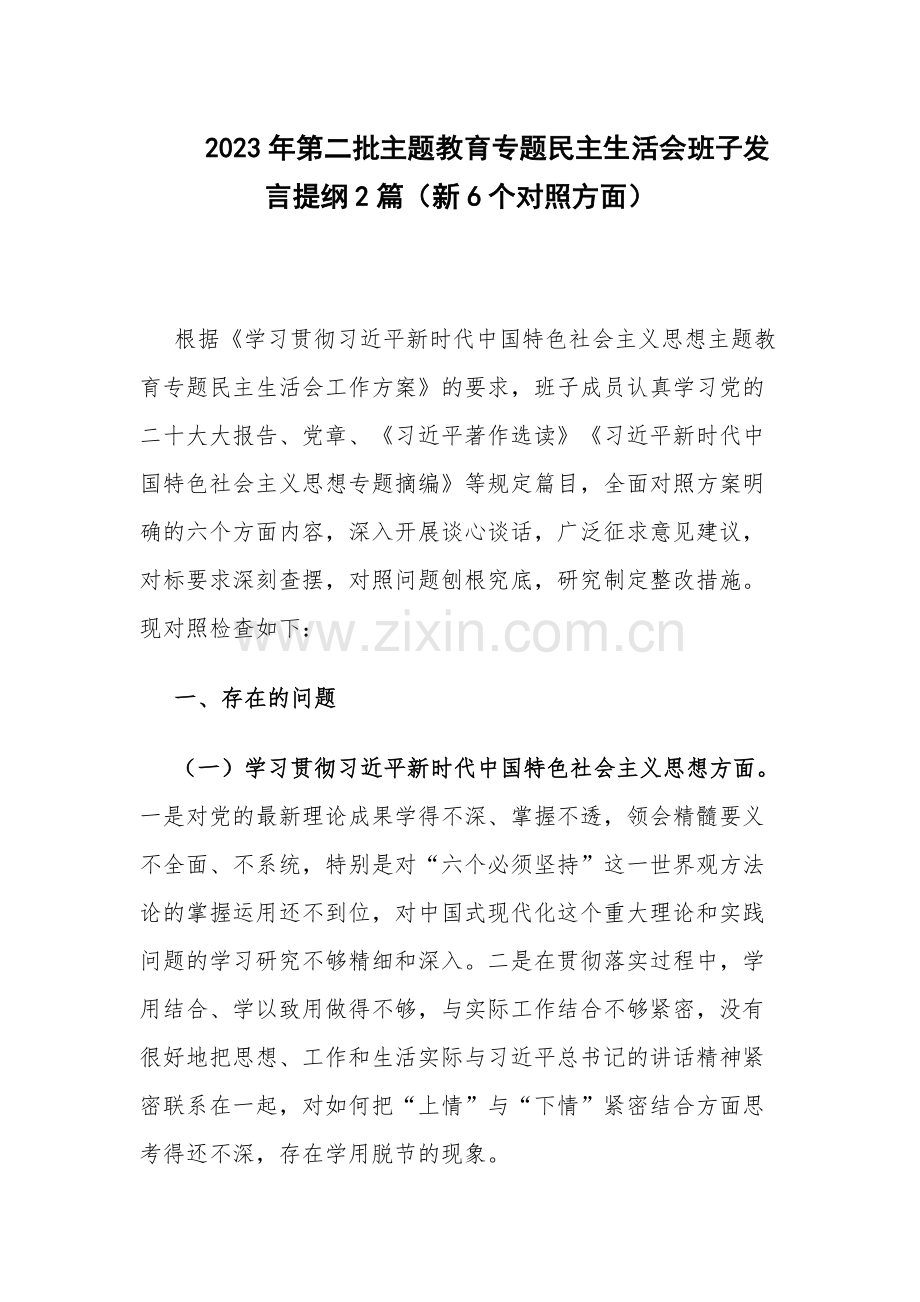 2023年第二批主题教育专题班子发言提纲2篇（新6个对照方面）.docx_第1页