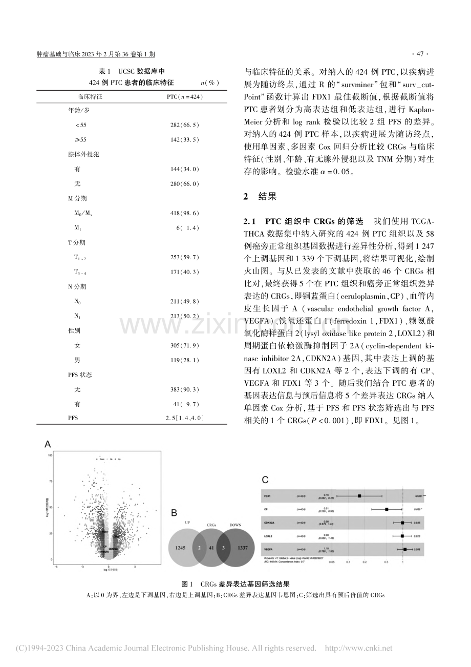 铜死亡相关基因在甲状腺乳头状癌组织中的表达和临床意义_解杰.pdf_第3页