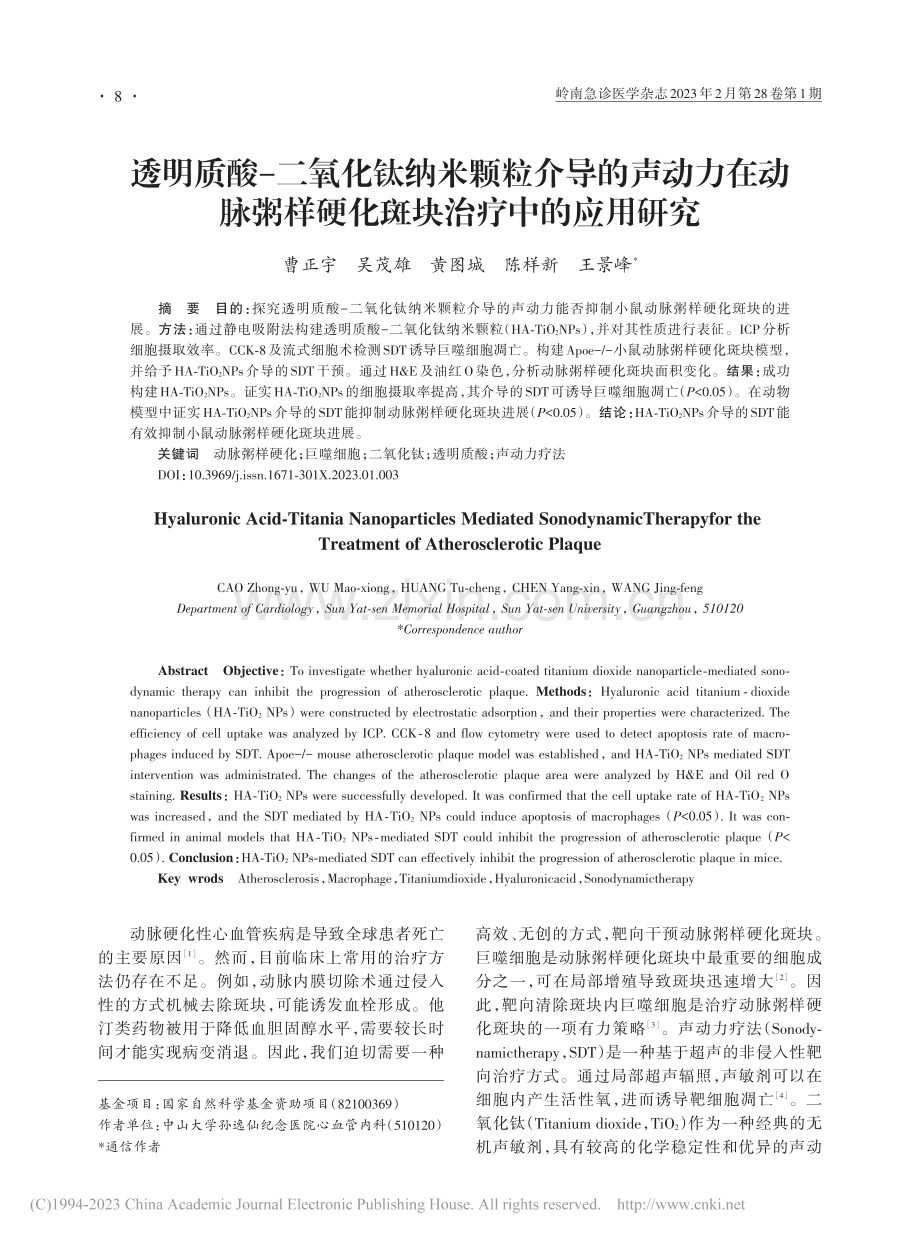 透明质酸-二氧化钛纳米颗粒...样硬化斑块治疗中的应用研究_曹正宇.pdf_第1页