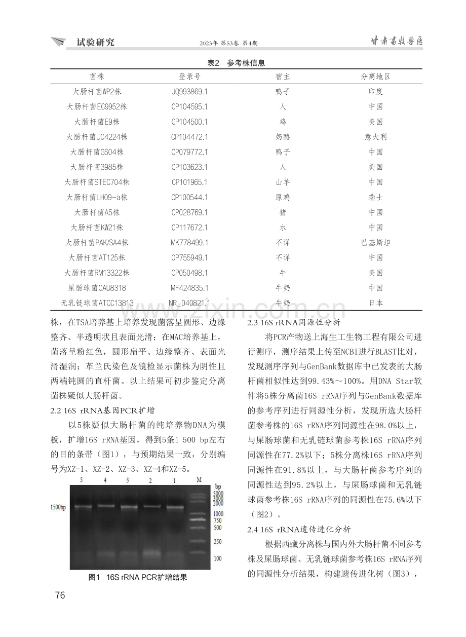 西藏牦牛腹泻性大肠杆菌的分离鉴定.pdf_第3页