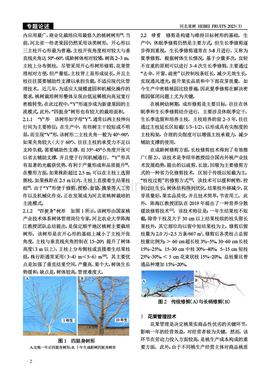 桃现代栽培关键技术.pdf_第2页