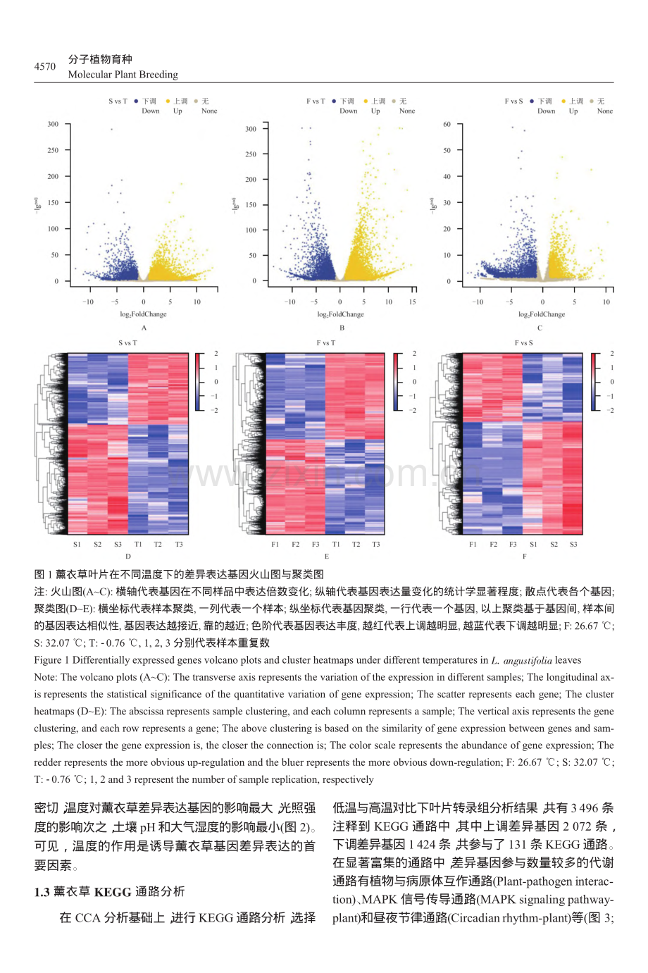 狭叶薰衣草叶片转录组耐寒相关差异表达基因分析_梁雨晨.pdf_第3页