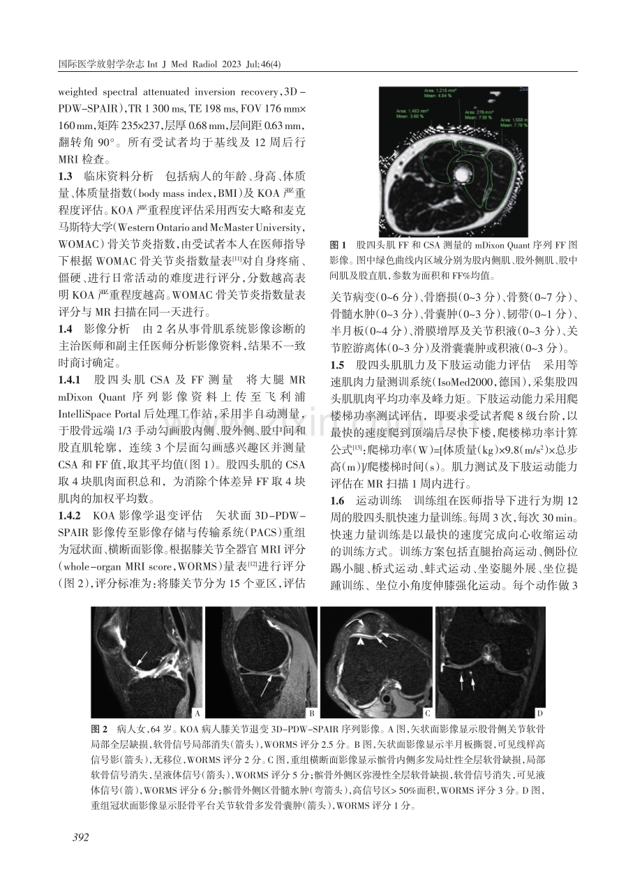 膝骨性关节炎女性快速力量训练前后的肌肉MRI定量研究.pdf_第3页