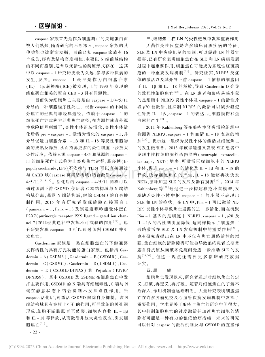 细胞焦亡在狼疮性肾炎发病机制中的研究进展_王晨.pdf_第3页