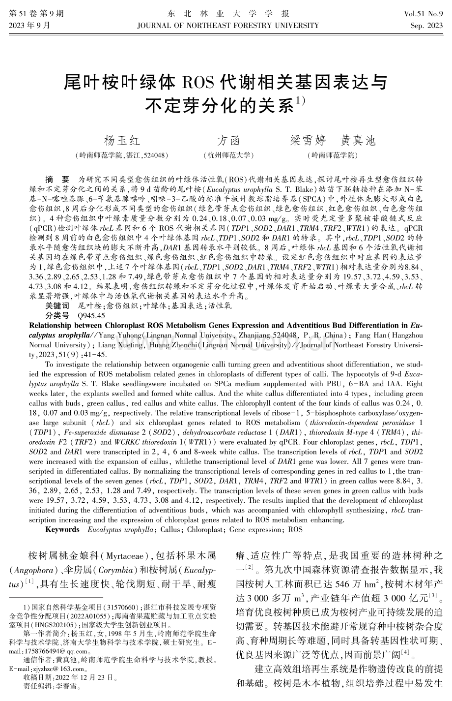 尾叶桉叶绿体ROS代谢相关基因表达与不定芽分化的关系.pdf_第1页