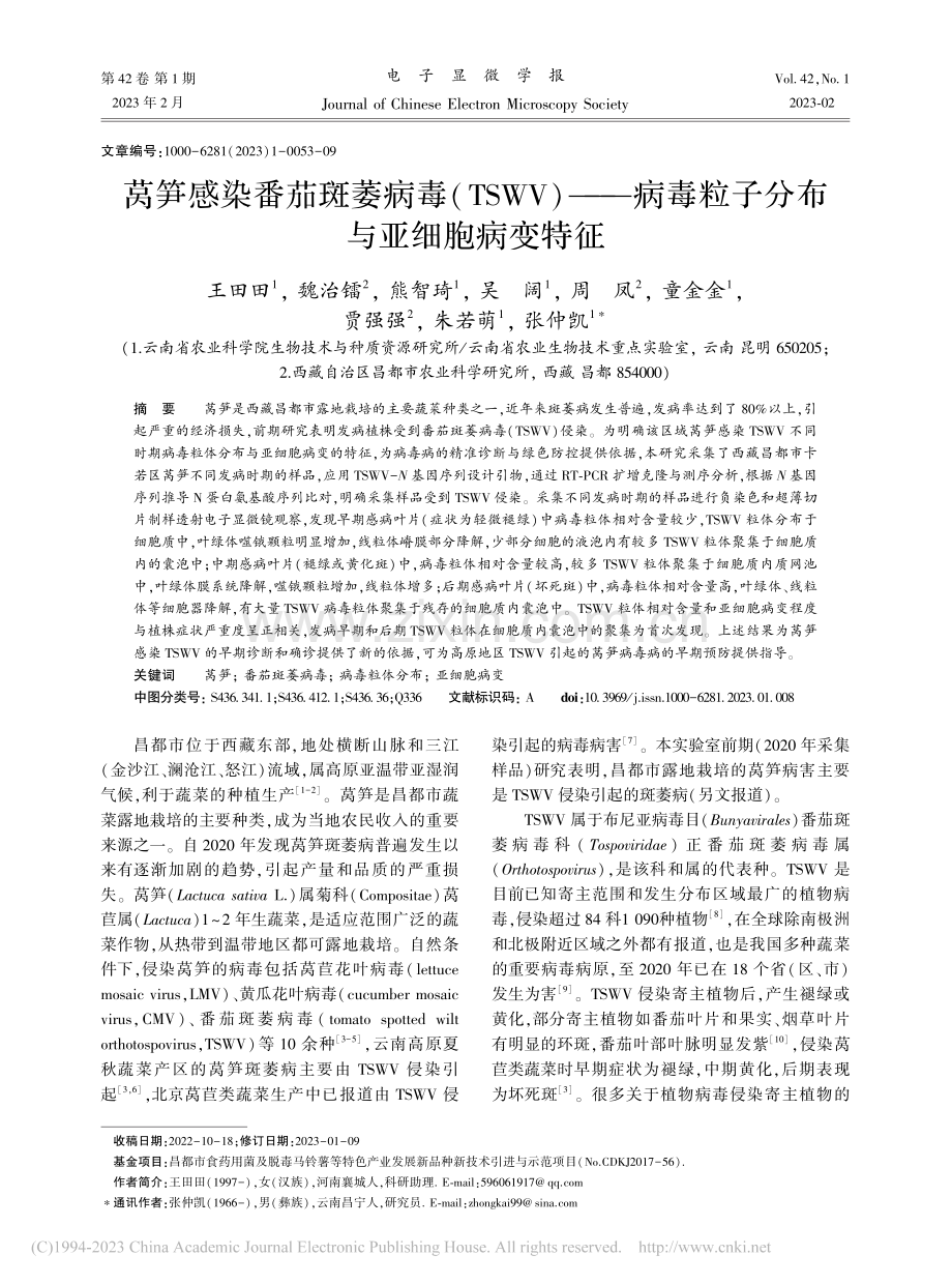 莴笋感染番茄斑萎病毒（TS.毒粒子分布与亚细胞病变特征_王田田.pdf_第1页