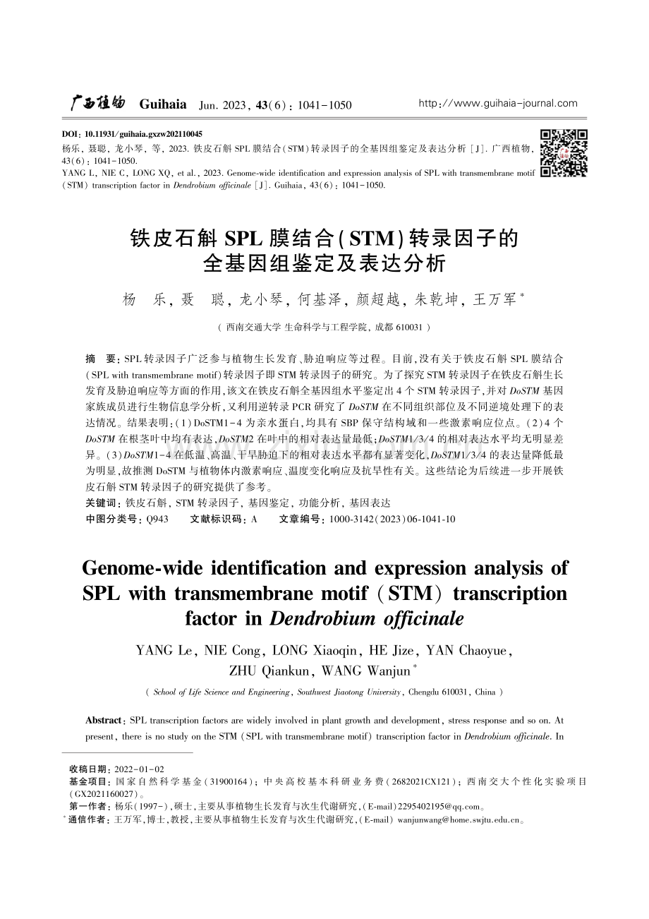 铁皮石斛SPL膜结合(ST...子的全基因组鉴定及表达分析_杨乐.pdf_第1页