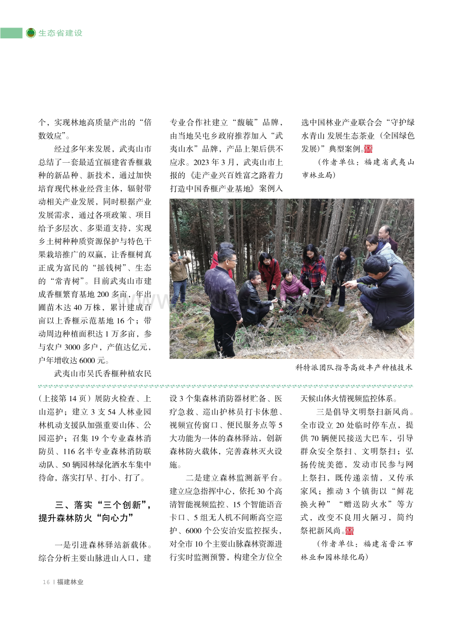 武夷山市：种业创新 香榧“摇钱” (1).pdf_第2页