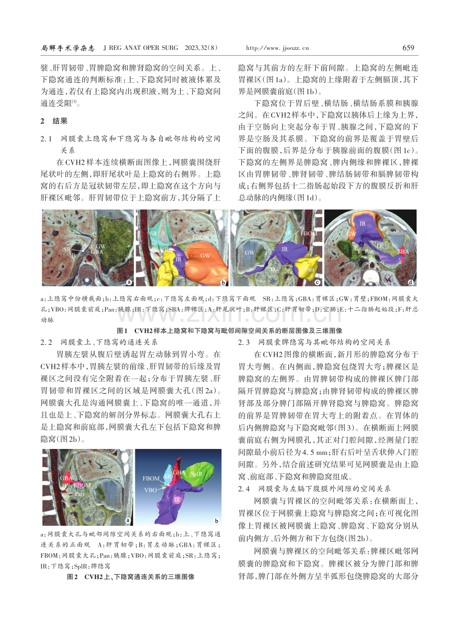 网膜囊与毗邻结构空间关系的三维可视化研究.pdf_第3页