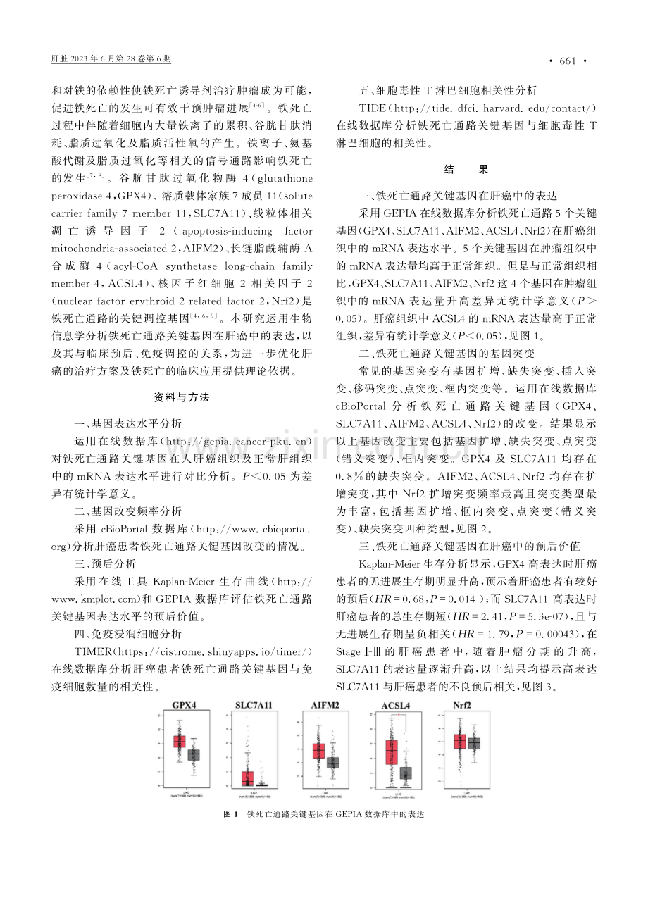 铁死亡通路关键基因在肝癌中的表达及临床意义.pdf_第2页