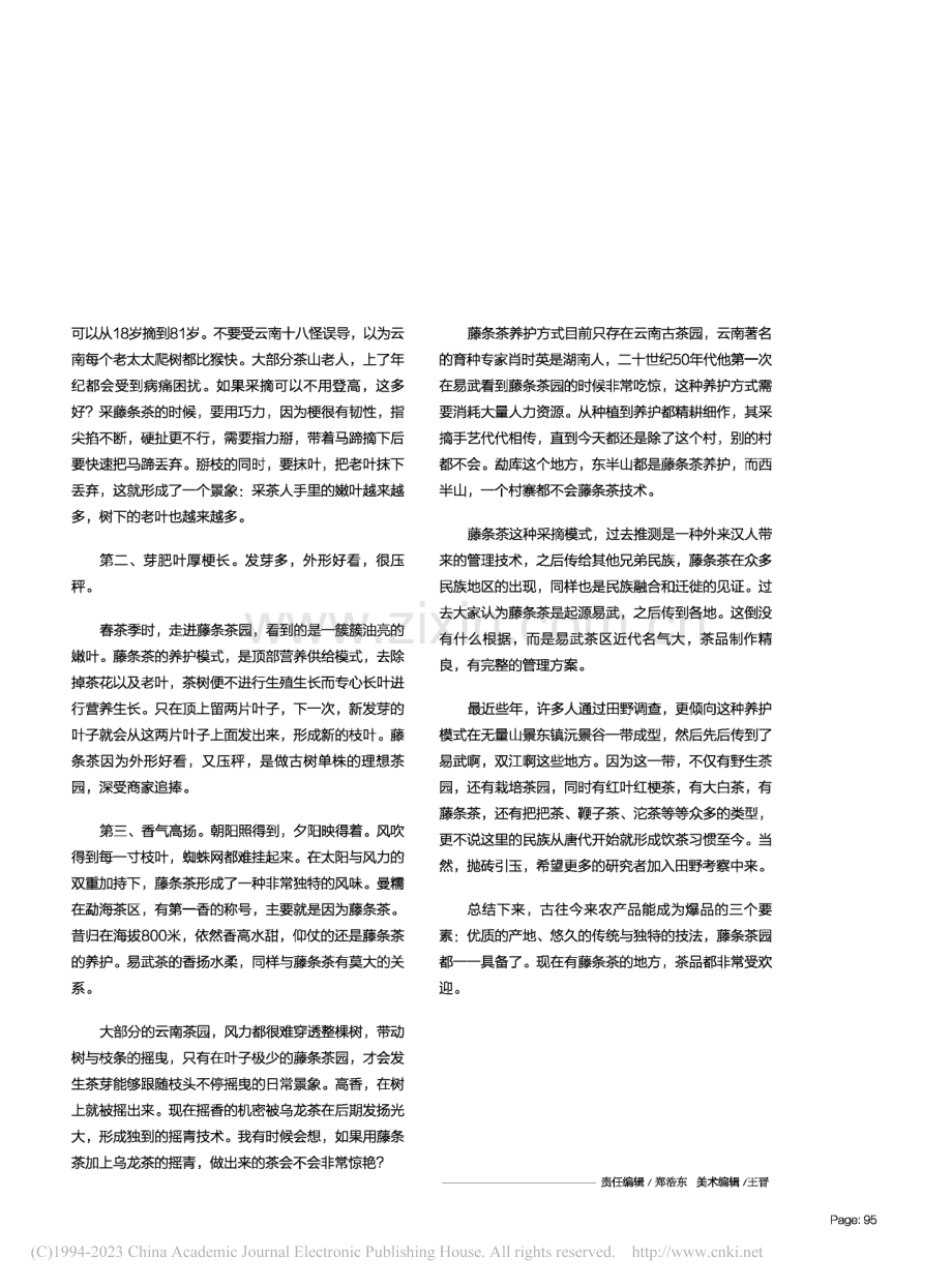 藤条茶,一种手上的园艺遗产_周重林.pdf_第2页