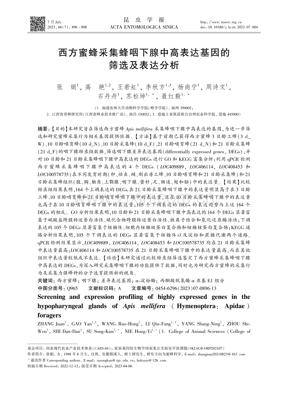 西方蜜蜂采集蜂咽下腺中高表达基因的筛选及表达分析.pdf_第1页