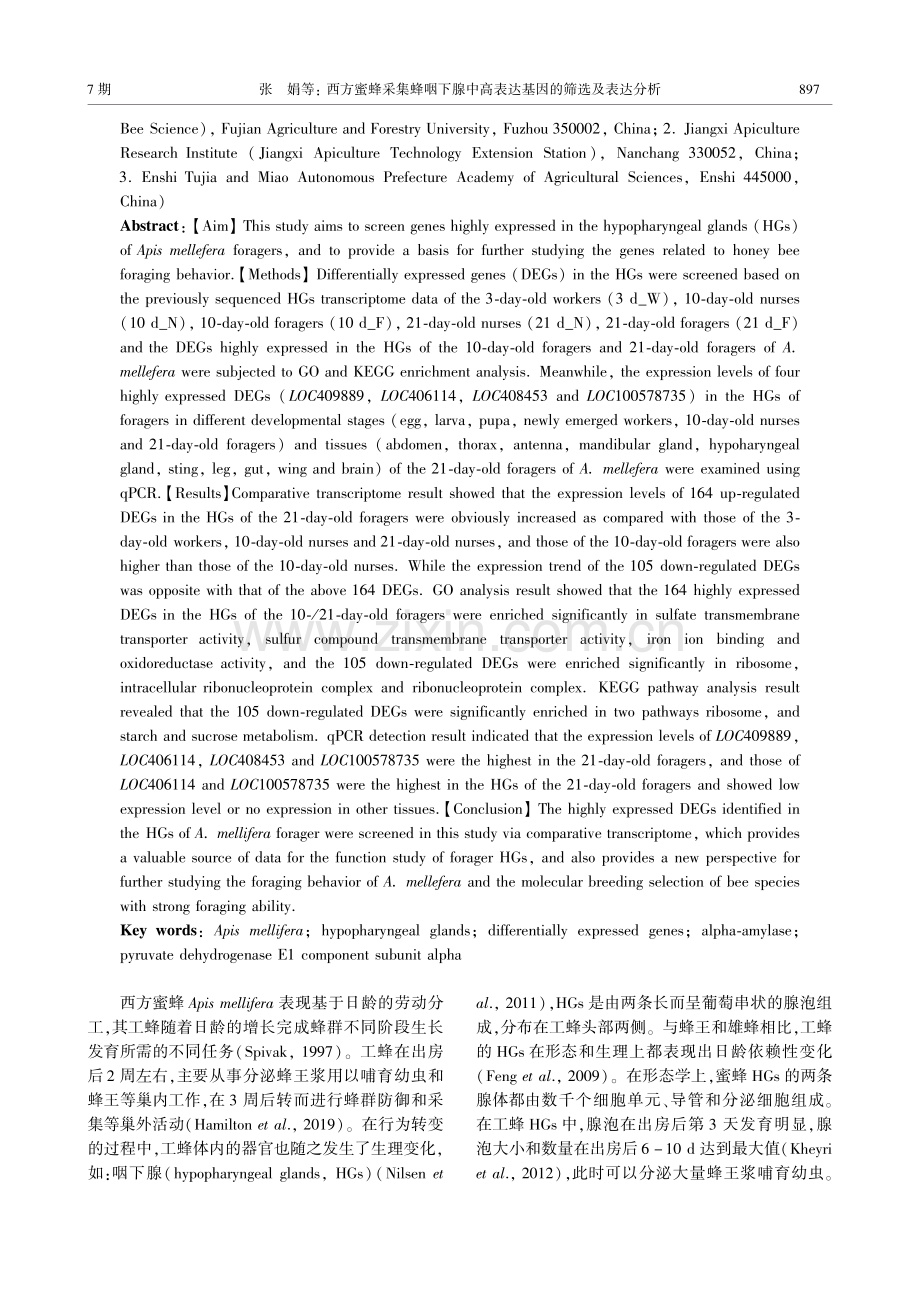 西方蜜蜂采集蜂咽下腺中高表达基因的筛选及表达分析.pdf_第2页