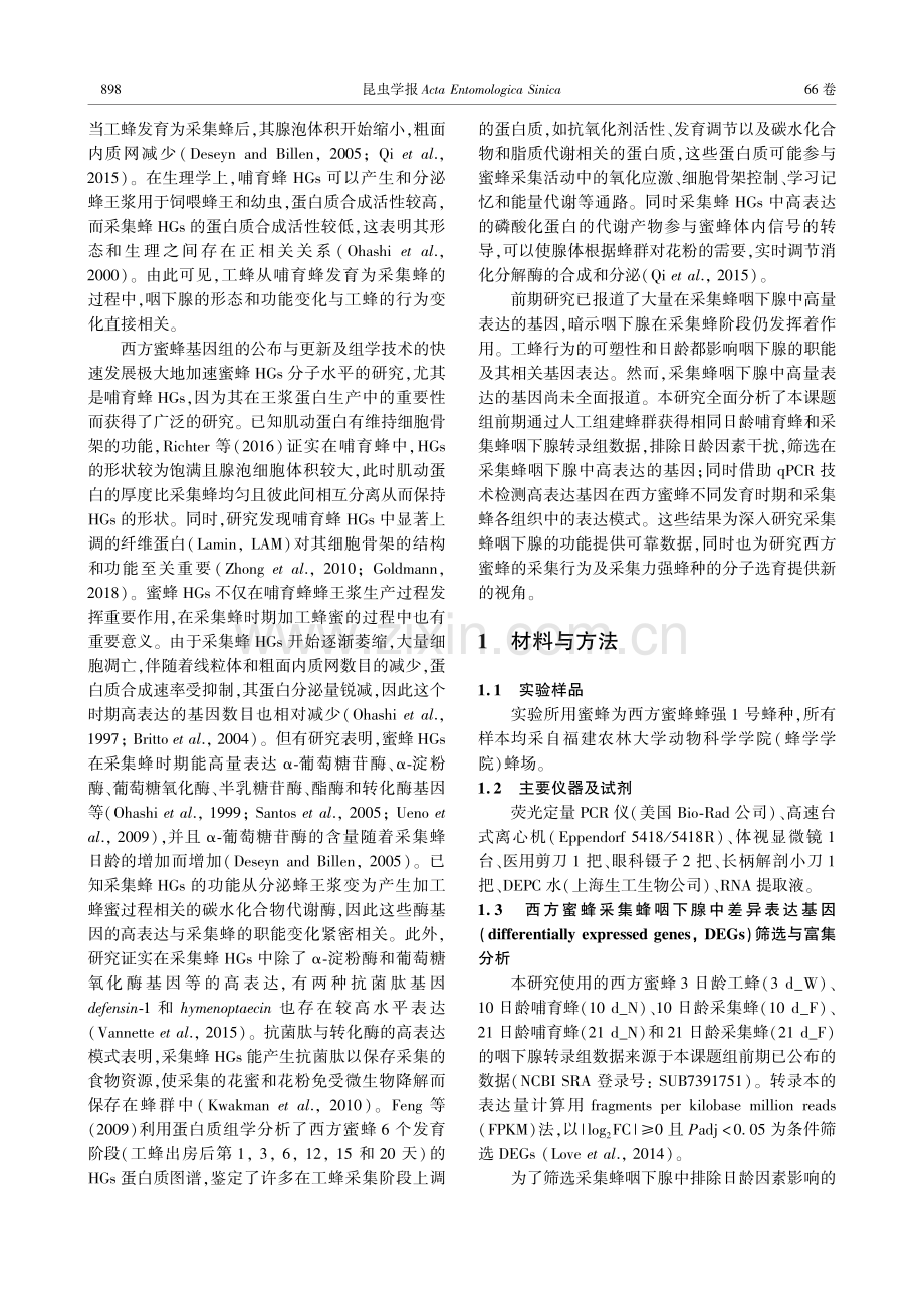 西方蜜蜂采集蜂咽下腺中高表达基因的筛选及表达分析.pdf_第3页