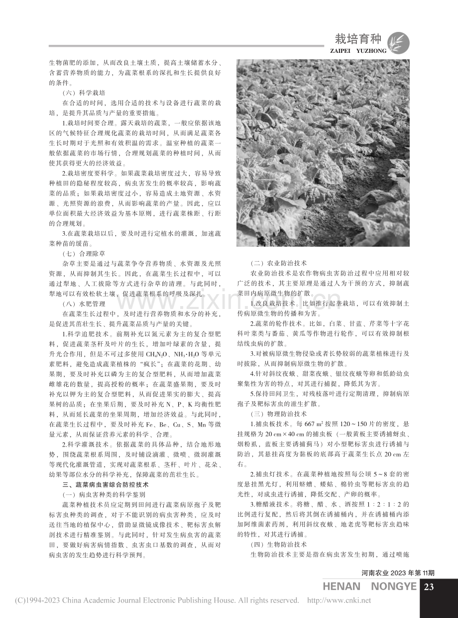 现代农业蔬菜栽培技术与病虫害防治要点分析_王金凤.pdf_第2页