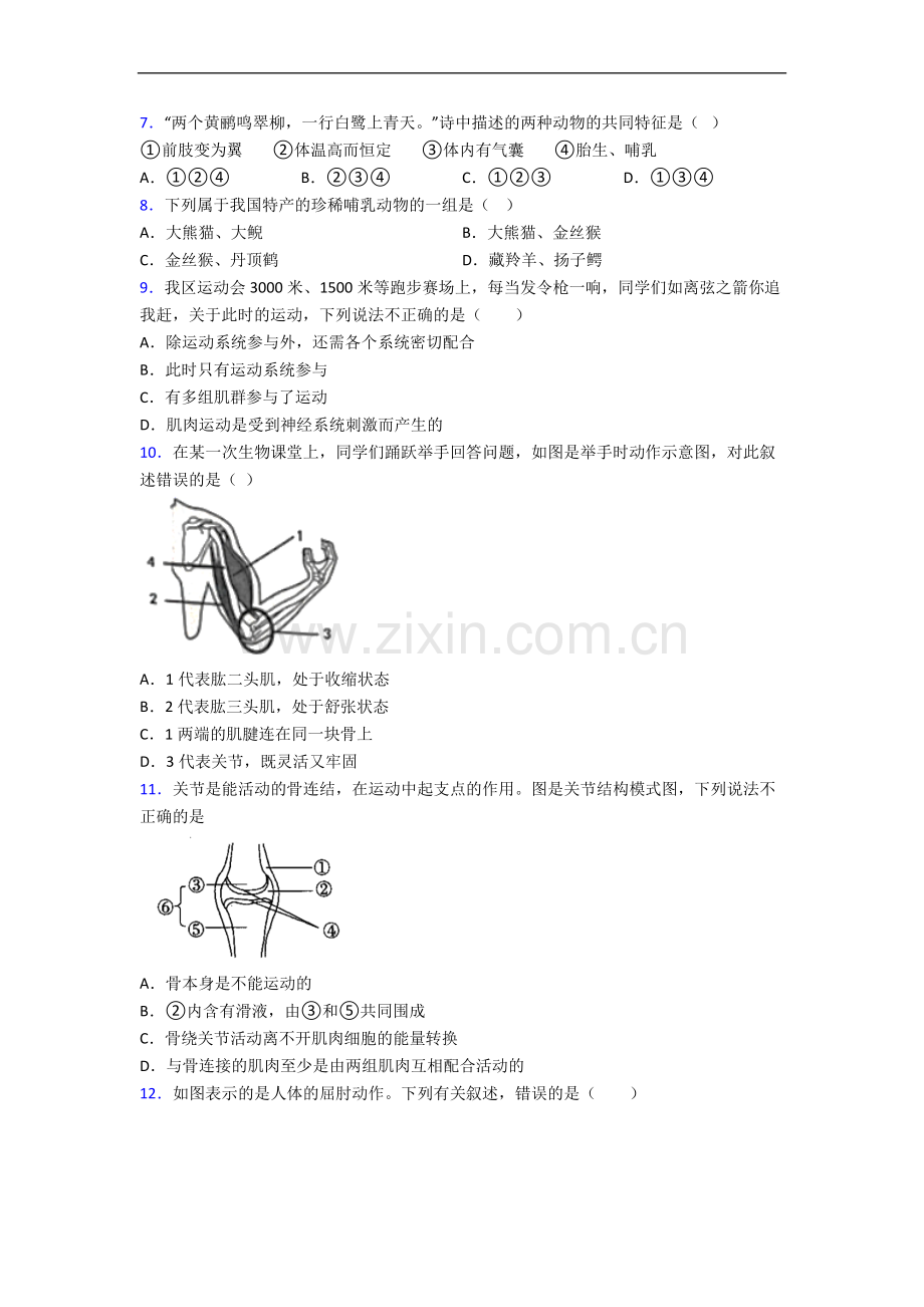 东北育才学校八年级上学期生物期中试卷及答案.doc_第2页