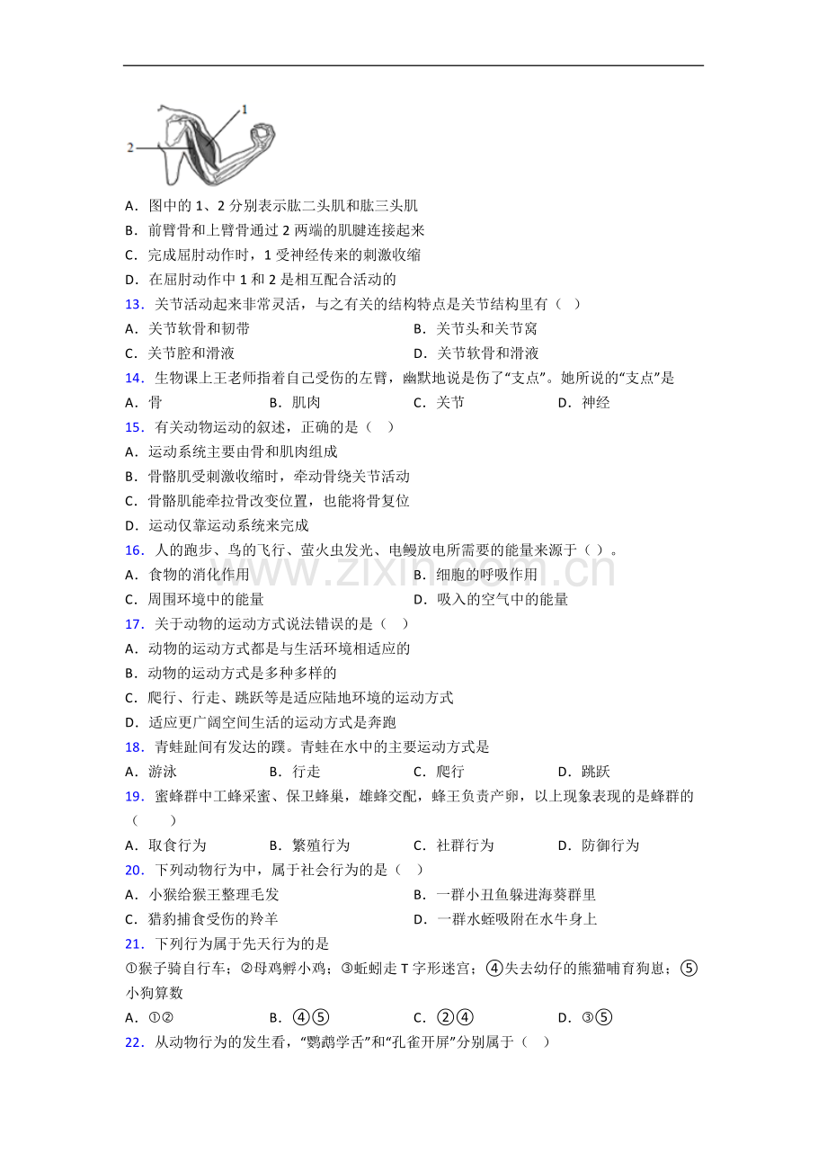 东北育才学校八年级上学期生物期中试卷及答案.doc_第3页