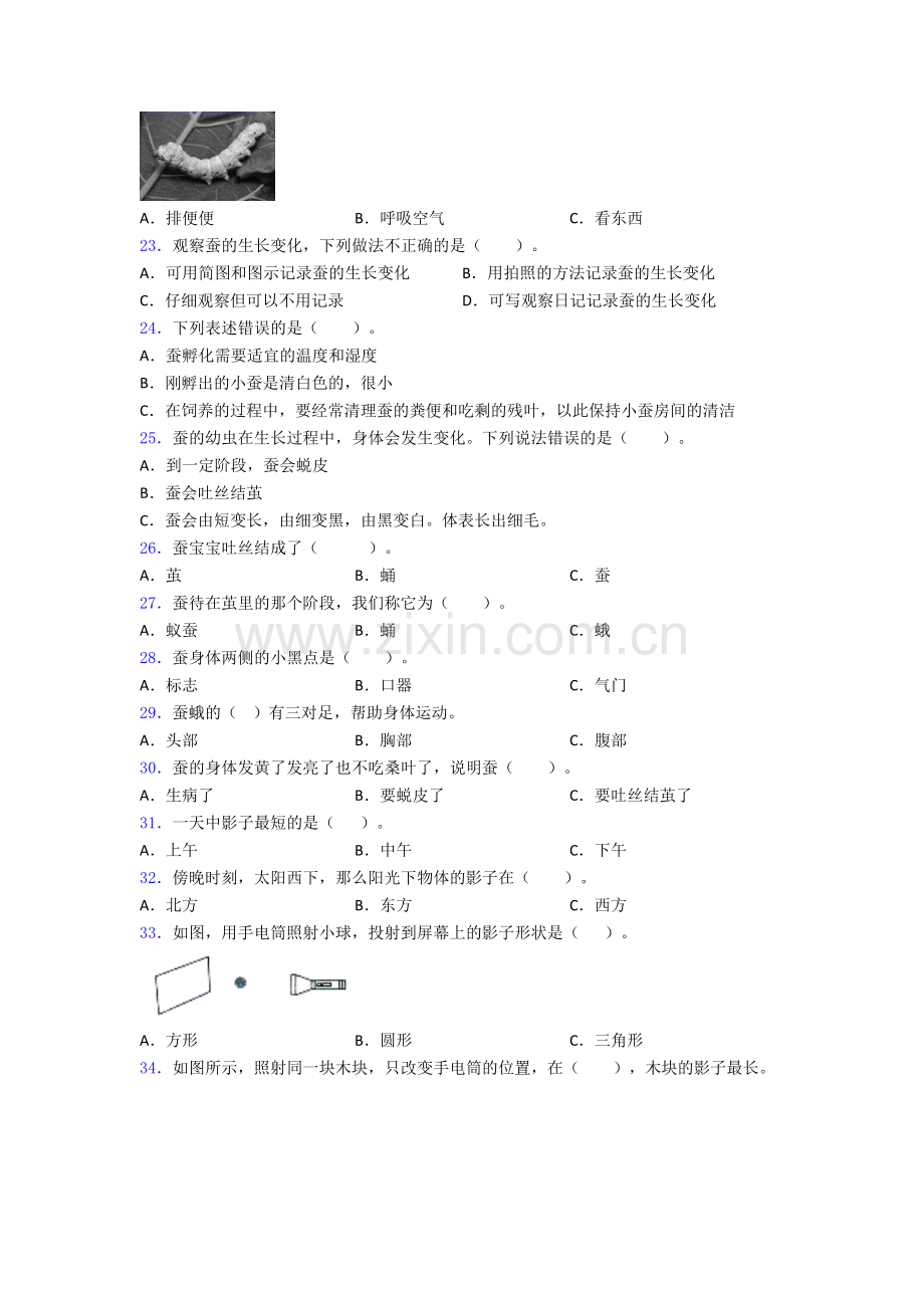 教科版科学三年级下册期末试卷复习练习(Word版含答案).doc_第3页