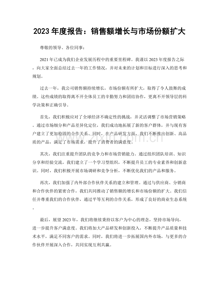 2023年度报告：销售额增长与市场份额扩大.docx_第1页