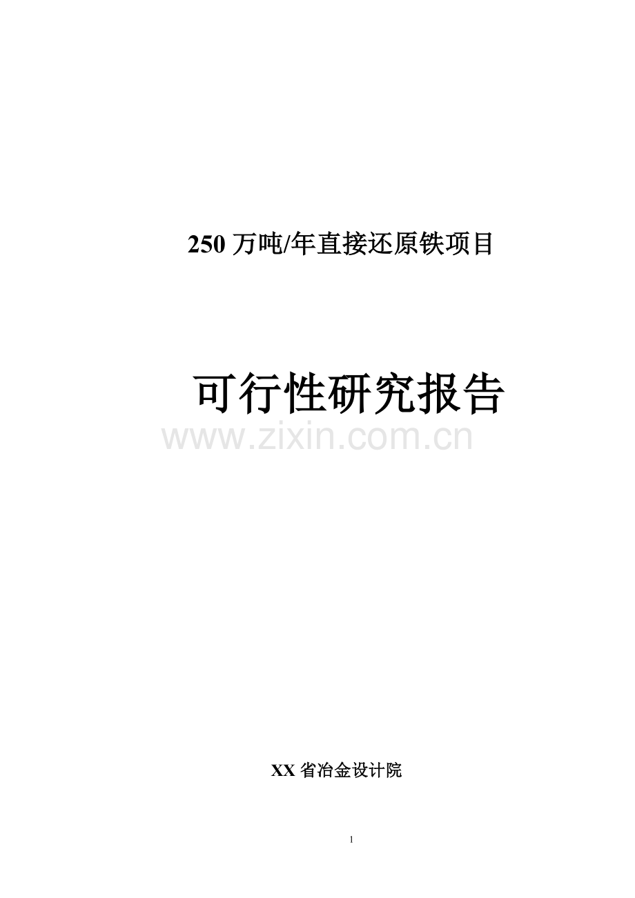 年产250万吨直接还原铁项目可行性研究报告书.doc_第1页