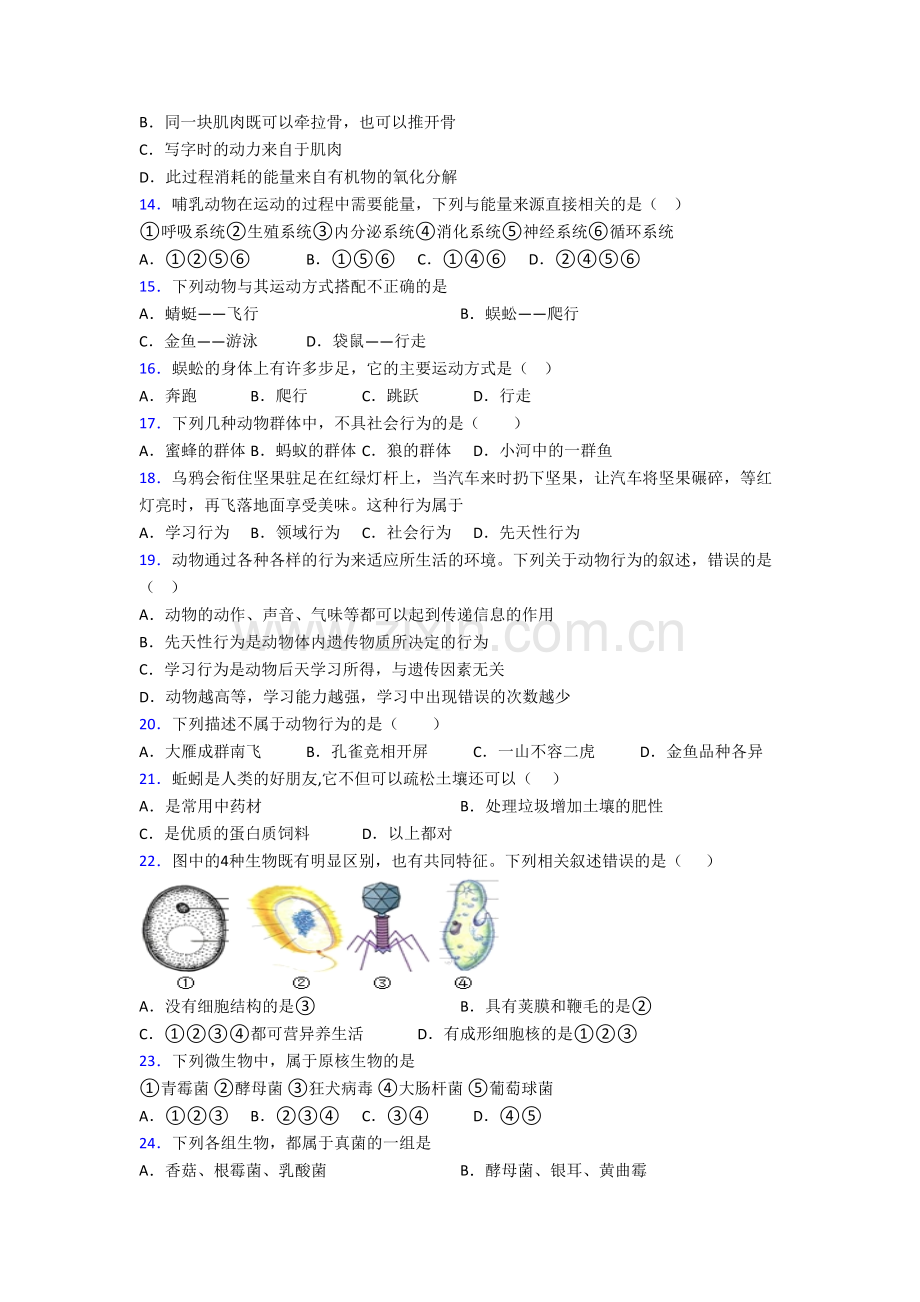 深圳市宝安中学生物八年级上册期末试卷.doc_第3页