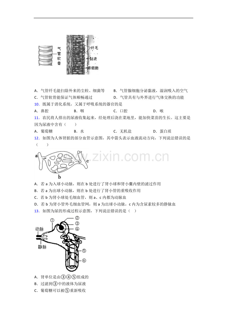 上饶市人教版七年级下册期末生物期末试卷及答案-全册.doc_第3页