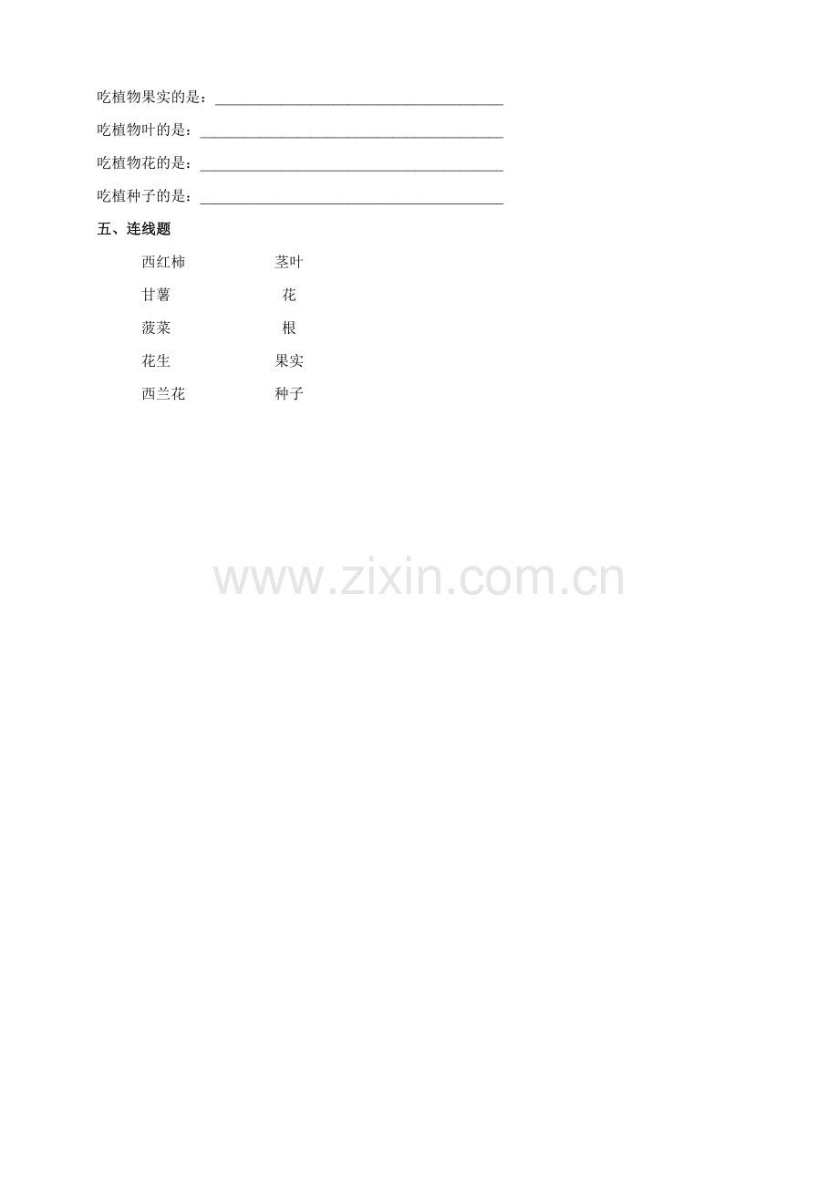 【新教材】苏教版科学三年级下1.4《植物结果了》练习(2).doc_第2页