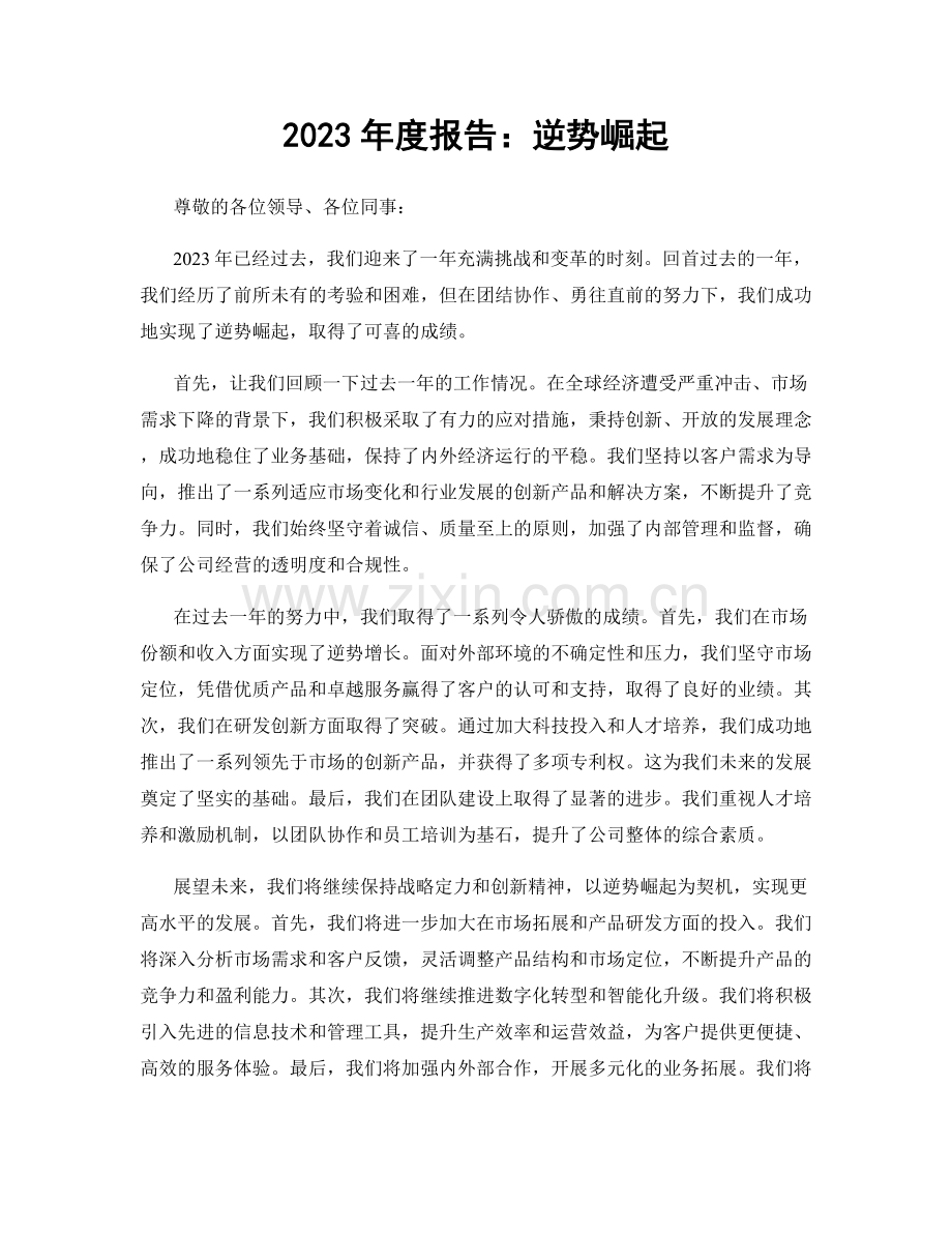 2023年度报告：逆势崛起.docx_第1页