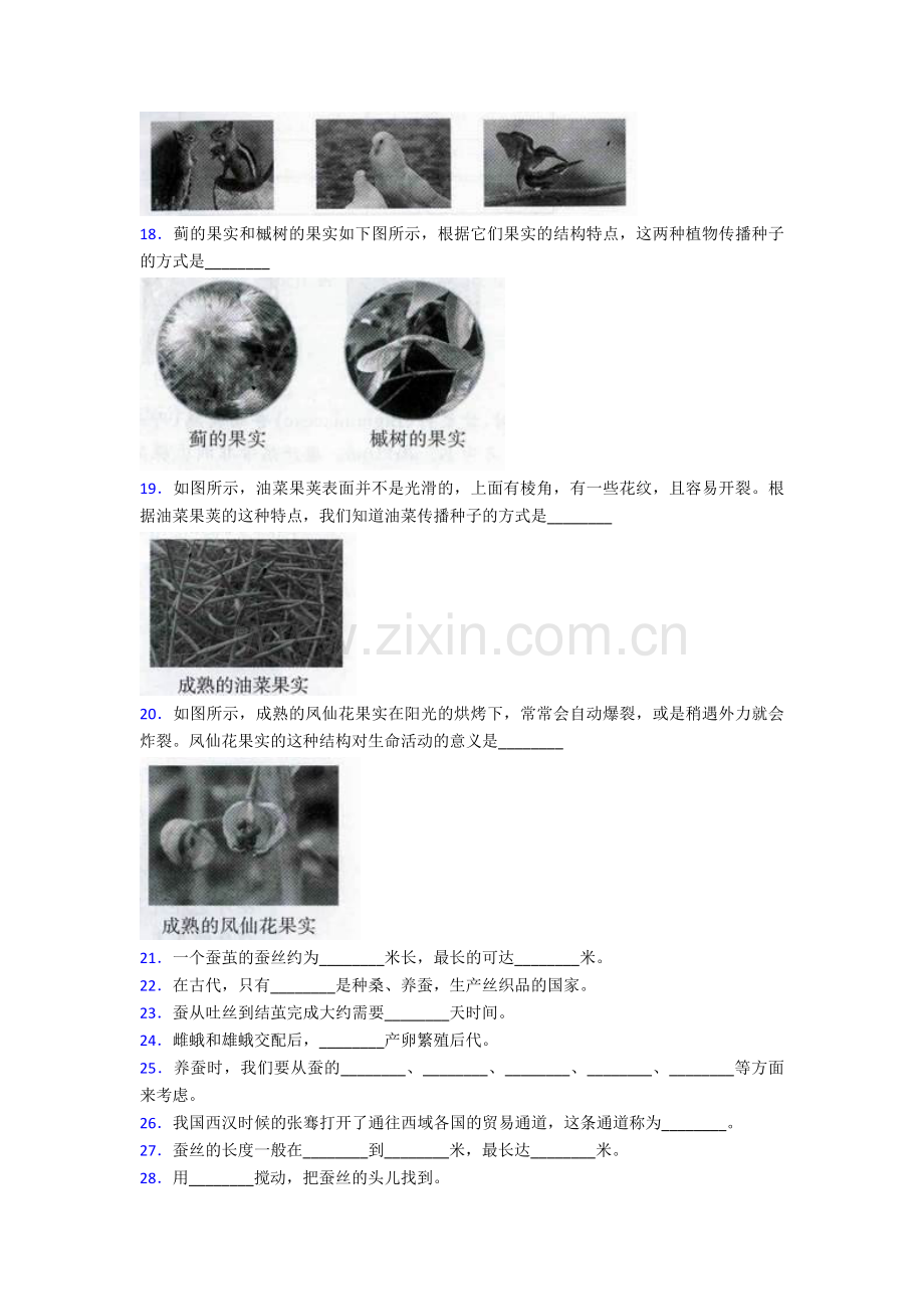 苏教版四年级下册科学期末测试卷及答案.doc_第2页