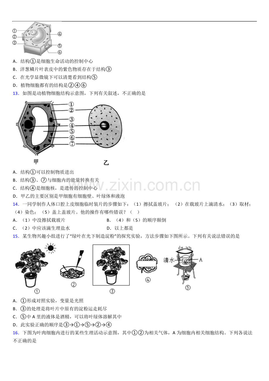 西安高新一中初中校区七年级上册期末生物期末试题及答案解答.doc_第3页