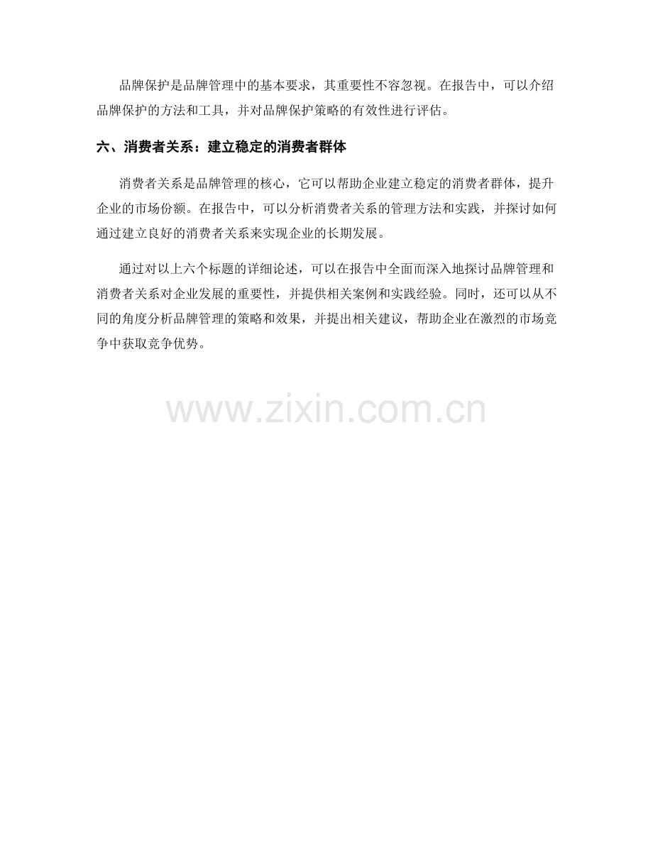 报告中的品牌管理和消费者关系.docx_第2页