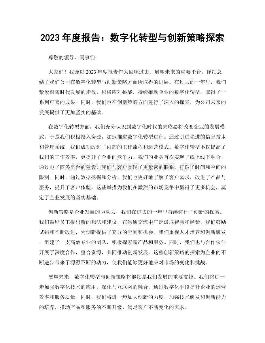 2023年度报告：数字化转型与创新策略探索.docx_第1页