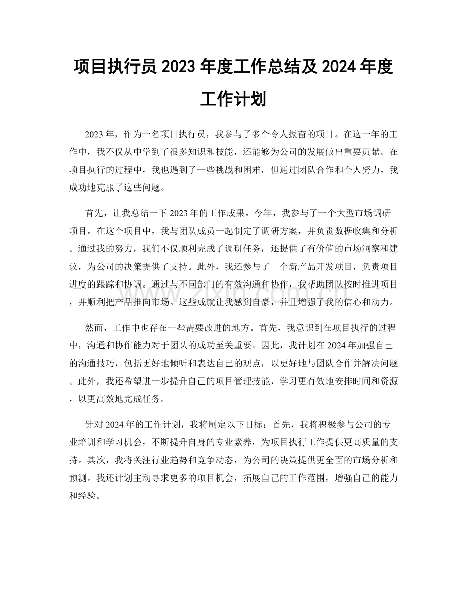 项目执行员2023年度工作总结及2024年度工作计划.docx_第1页