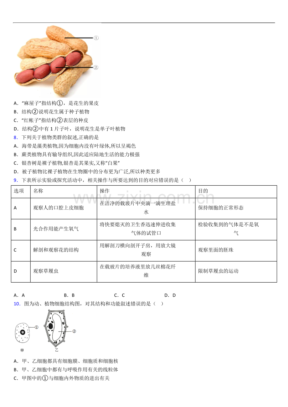 南京玄武外国语中学七年级上学期期末生物试题题.doc_第2页