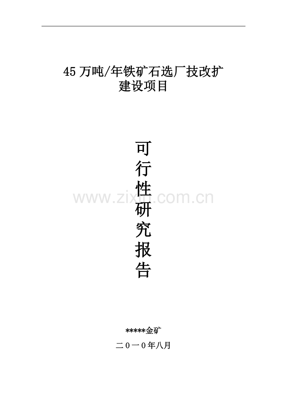 45万吨年铁矿石选厂技改扩建设项目可行性建议书.doc_第1页