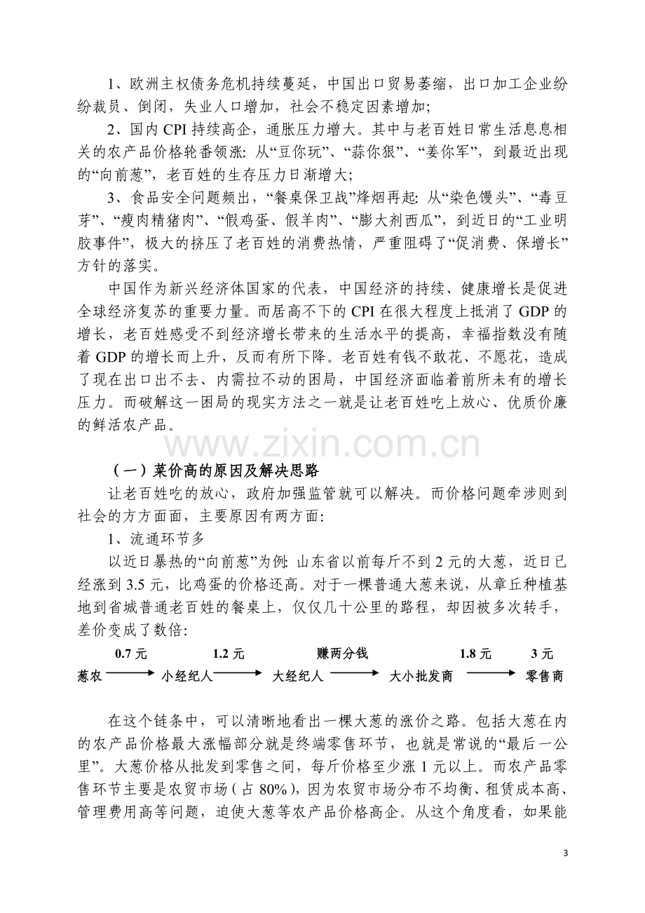 星级农贸市场商业策划书.doc_第3页