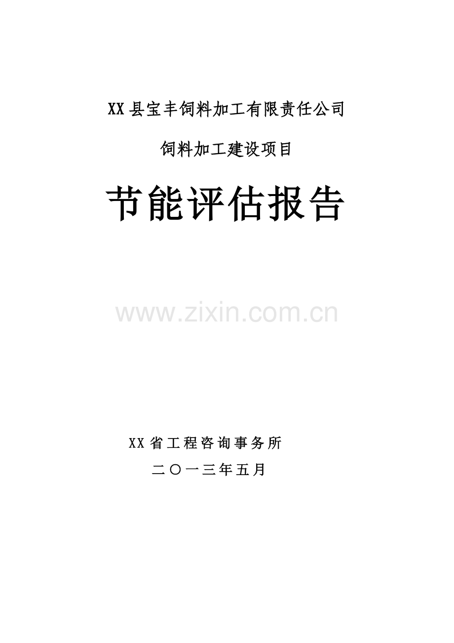 宝丰饲料加工有限责任公司饲料加工建设项目节能评估报告.doc_第1页