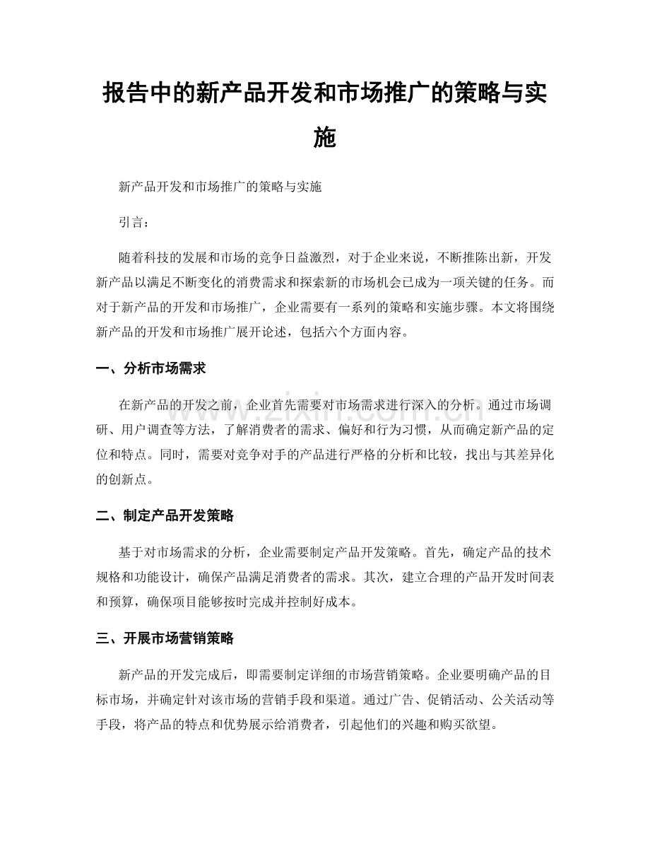 报告中的新产品开发和市场推广的策略与实施.docx_第1页