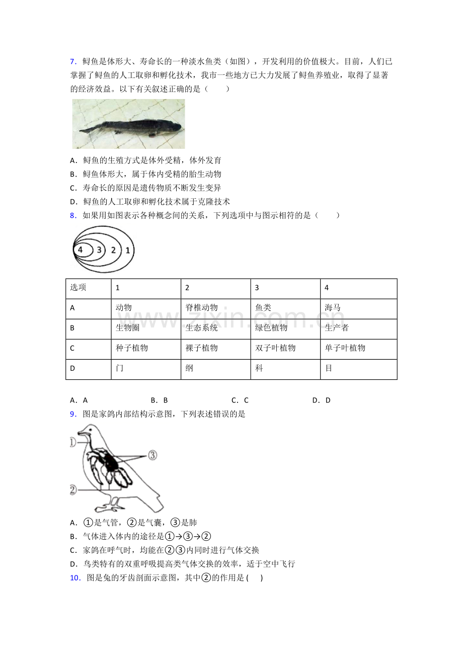 北京市人大附中八年级上册生物期末综合题试题知识归纳整理及答案解答.doc_第2页