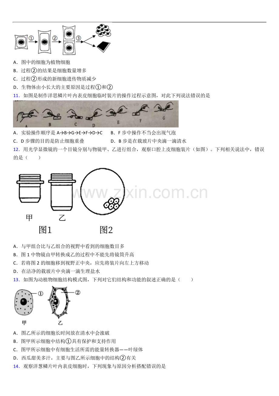 宜昌市七年级上册期末生物期末试卷及答案.doc_第3页