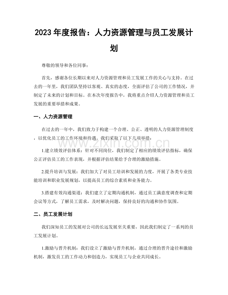 2023年度报告：人力资源管理与员工发展计划.docx_第1页