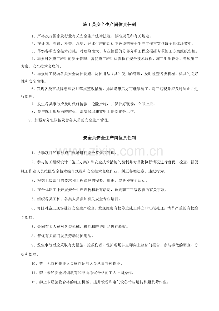 项目工程各岗位安全生产岗位责任制.docx_第2页