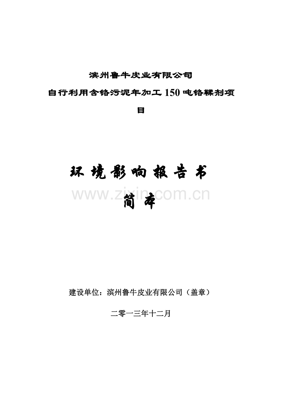 滨州鲁牛皮业有限公司自行利用含铬污泥年加工150吨铬鞣剂项目环评报告书.doc_第1页